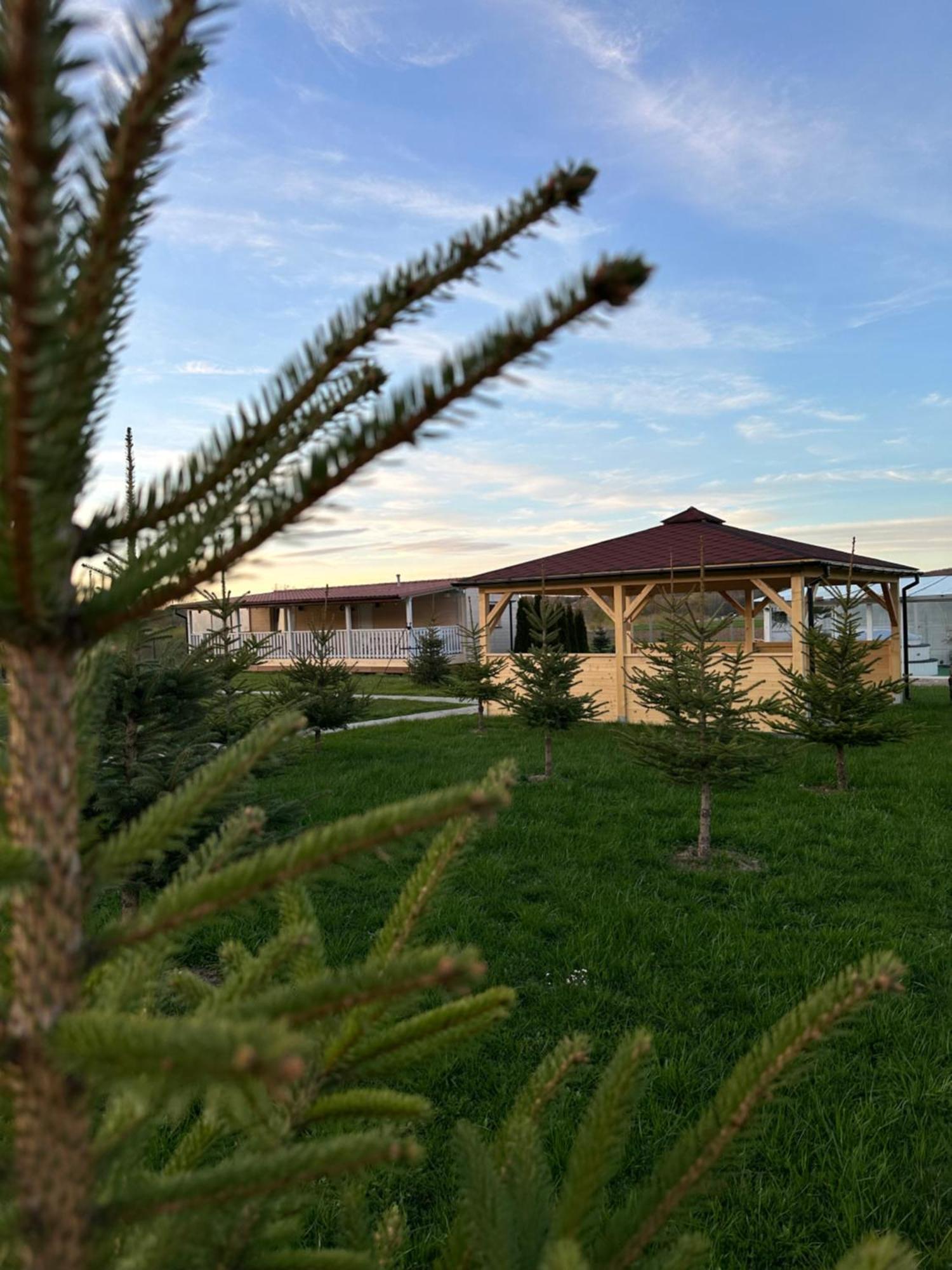 Domki Nad Sanem Bachorzec Dubiecko Dış mekan fotoğraf