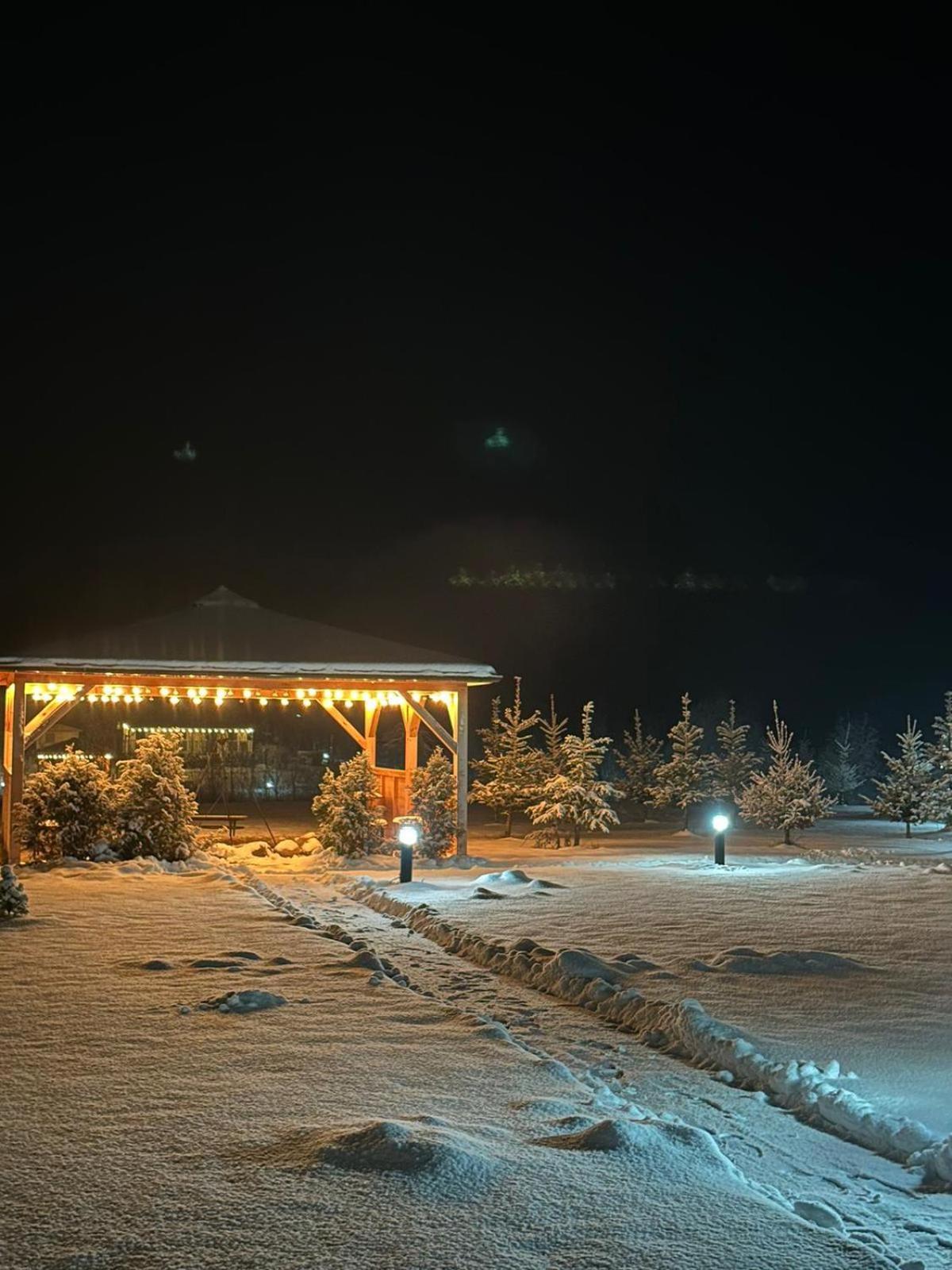 Domki Nad Sanem Bachorzec Dubiecko Dış mekan fotoğraf